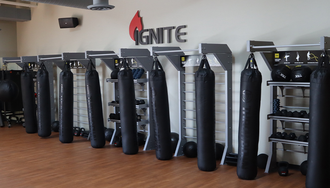 Try Us FREE for 15 Days